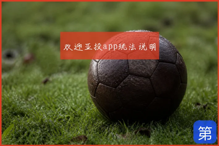 欢迎亚投app玩法说明