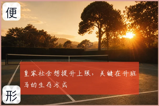 皇家社会想提升上限,关键在升班马的生存方式