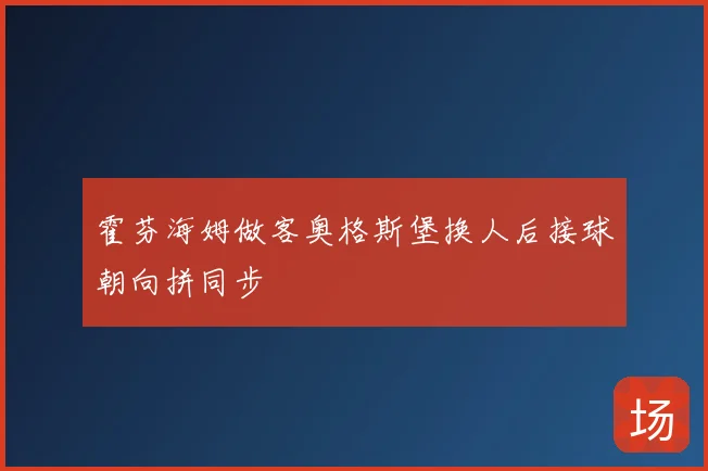 霍芬海姆做客奥格斯堡换人后接球朝向拼同步